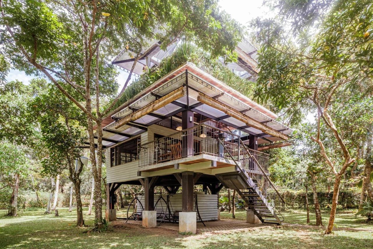 Pintoresco Anuling Phòng bức ảnh
